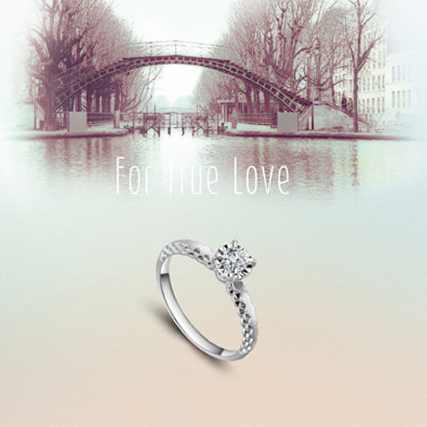 請?zhí)顚憳?biāo)題