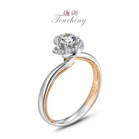 請?zhí)顚憳?biāo)題