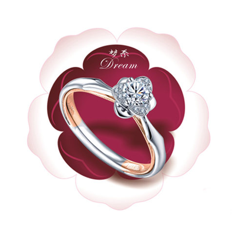 請?zhí)顚憳?biāo)題