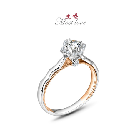 請?zhí)顚憳?biāo)題