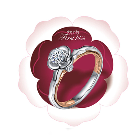 請?zhí)顚憳?biāo)題