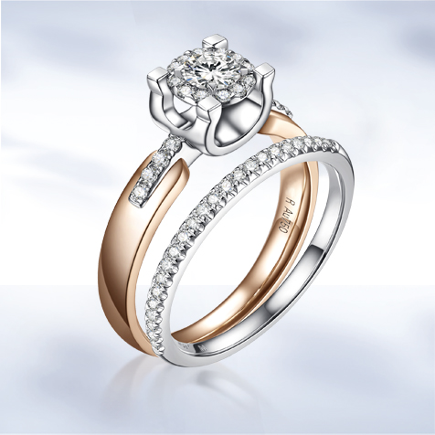 請?zhí)顚憳?biāo)題