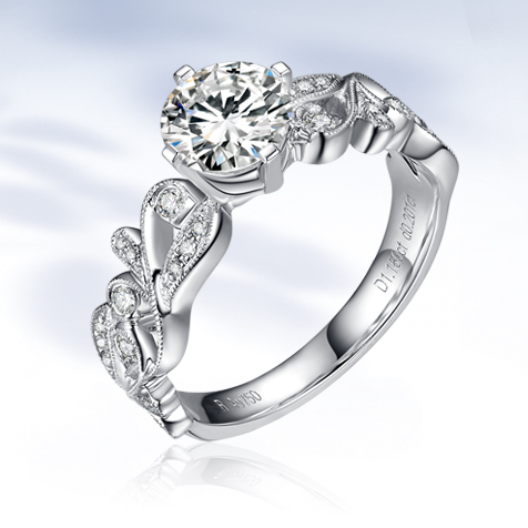 請?zhí)顚憳?biāo)題